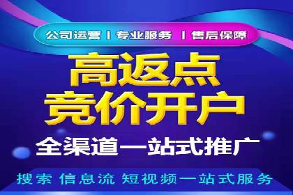 SEM服务公司助力企业增长案例